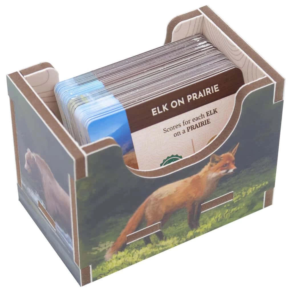 Insert Cascadia 4 Insert Cascadia – Image 2