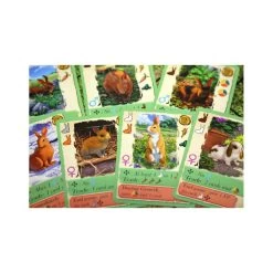 Coney -Jeux Société Magasin coney 1